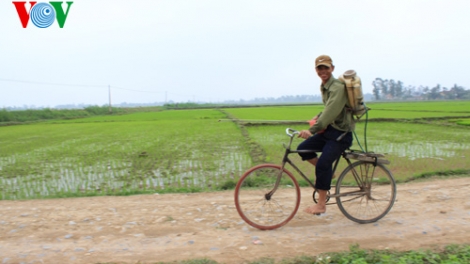 Nông nghiệp và nông thôn ngày 03/03/2015: Giải pháp ứng phó vụ xuân ấm.
