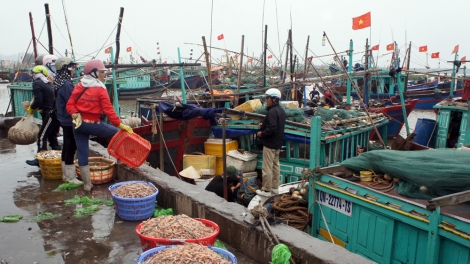 Biển đảo Việt Nam ngày 06/03/2015: Khai thác bền vững nguồn lợi thủy sản ở Đồ Sơn.