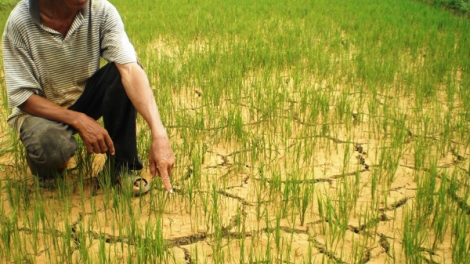 Môi trường và phát triển ngày 09/3/2015: Hạn hán ở miền Trung và công tác thích ứng.