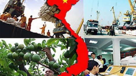 Kinh tế thị trường ở Việt Nam đã phát triển ở cấp độ nào?