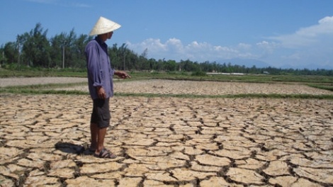 Tình trạng khô hạn kéo dài được báo trước: Người dân vẫn loay hoay trong cách ứng phó.