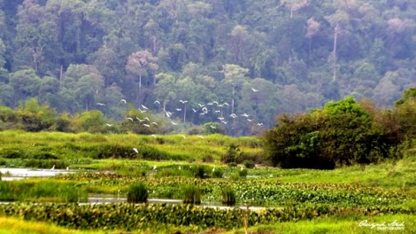 Môi trường và phát triển ngày 16/4/2015: Khai thác tài nguyên như thế nào để vừa đáp ứng nhu cầu phát triển vừa bảo toàn được đa dạng sinh học.