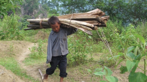 Môi trường và phát triển ngày 23/4/2015: Đà Bắc, Hòa Bình: Thiếu đất sản xuất - nguy cơ nghèo đói hiện hữu.