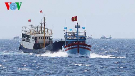 Biển đảo Việt Nam ngày 26/4/2015: Tai nạn nghề cá trên biển - đáng lo ngại.