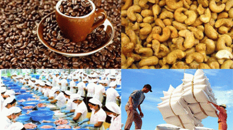 Kinh tế ngày 28/4/2015: Xuất khẩu nông lâm thủy sản quý đầu năm giảm mạnh: Nguyên nhân do đâu ?