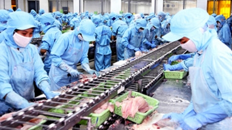 Thời sự chiều ngày 04/4/2015: Brazil cấp giấy phép nhập khẩu trở lại đối với mặt hàng thủy sản và các sản phẩm nuôi trồng, đánh bắt từ Việt Nam.