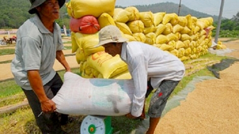 Thời sự chiều ngày 08/4/2015: Đến nay các doanh nghiệp tham gia mua 1 triệu tấn quy gạo tạm trữ trong vụ đông xuân tại khu vực Đồng bằng sông Cửu Long đã mua được gần 900 nghìn tấn quy gạo, đạt hơn 88% chỉ tiêu Chính phủ giao.