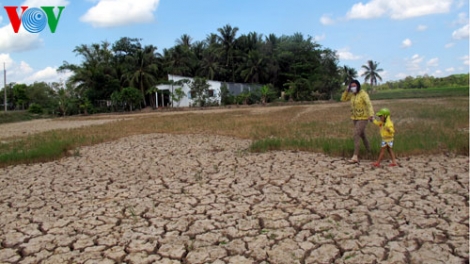 Thời sự đêm ngày 08/4/2015: Tổng cục Thủy lợi phối hợp với Hội Thủy lợi Việt Nam tọa đàm bàn giải pháp phòng chống hạn hán và xâm nhập mặn.