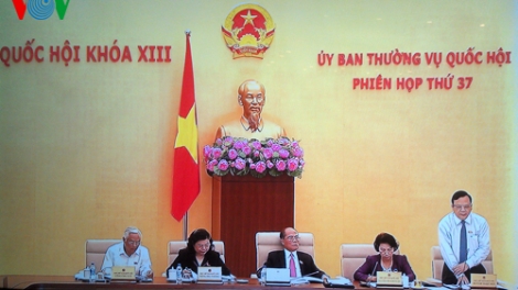 Quốc hội với cử tri ngày 09/4/2015: Có nên truy cứu trách nhiệm hình sự của pháp nhân hay không?