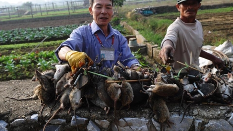 Khoa học và công nghệ ngày 01/5/2015: Cần có cơ chế chính sách phát huy sức sáng tạo của các nhà khoa học không chuyên.