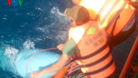 Thời sự đêm ngày 01/5/2015: Đã tìm thấy hai phi công tử nạn trong vụ máy bay SU-22 vào ngày 16 tháng tư vừa qua trên vùng biển gần đảo Phú Quý, tỉnh Bình Thuận.