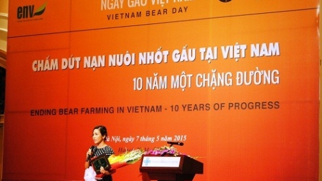 Môi trường và phát triển ngày 18/5/2015: 10 năm chặng đường chấm dứt nuôi nhốt gấu tại Việt Nam.