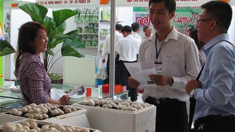 Theo dòng thời sự ngày 08/5/2015: Nông sản an toàn: Cung chưa gặp cầu.