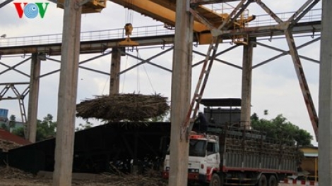 Nan giải bài toán phát triển bền vững ngành mía đường (Nông nghiệp và nông thôn ngày 14/6/2015)