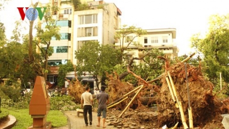 Thời sự trưa ngày 14/6/2015: Trận dông lốc với sức gió giật cấp 9 xảy ra chiều qua tại Hà Nội đã làm ít nhất 2 người thiệt mạng, nhiều người bị thương, hàng trăm cây cối đổ ngôn ngang.