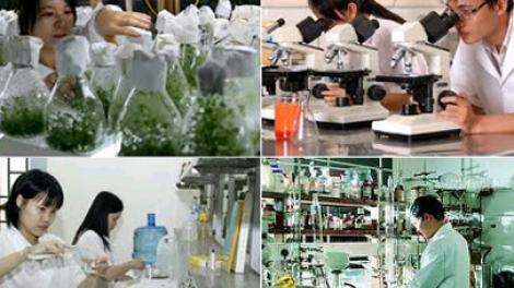 Khoa học công nghệ chưa đóng vai trò then chốt tạo động lực phát triển (Khoa học và công nghệ ngày 16/6/2015)