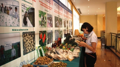 Nông thôn miền núi đổi thay nhờ khoa học công nghệ (Khoa học và công nghệ ngày 23/6/2015)