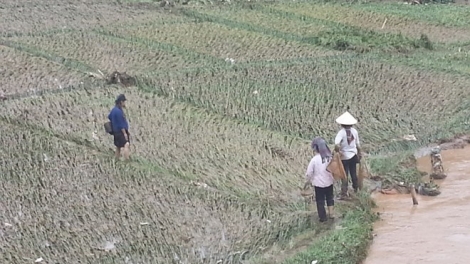 Khắc phục hậu quả hoàn lưu bão số 1 ở các tỉnh miền núi phía Bắc (Nông nghiệp và nông thôn ngày 26/6/2015)