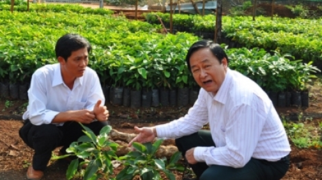 Tư vấn về chuyển đổi cơ cấu cây trồng vật nuôi thích ứng với biến đổi khí hậu. (Chuyên gia của bạn ngày 01/7/2015)