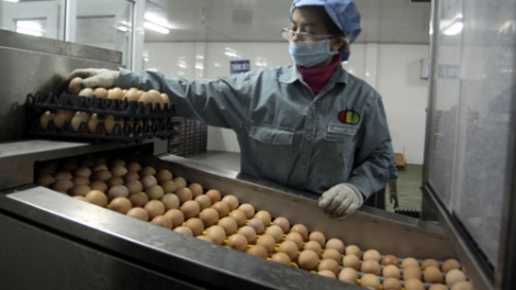 Đẩy mạnh đầu tư công nghệ bảo quản cho nông sản Việt Nam (Khoa học công nghệ ngày 10/7/2015)