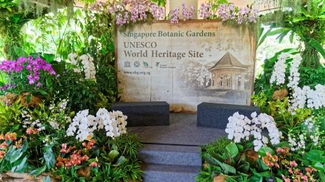 Vườn thực vật của Singapore trở thành Di sản thế giới (Tầm nhìn UNESCO ngày 18/7/2015)