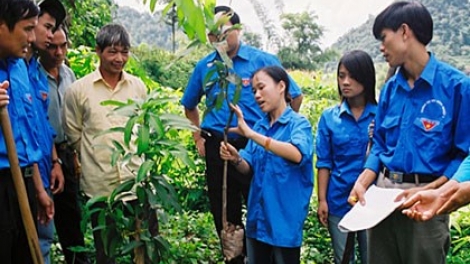 Thời sự đêm ngày 20/7/2015: Thêm 90 trí thức trẻ tình nguyện về các xã vùng sâu vùng xa, tham gia phát triển nông thôn, miền núi