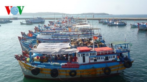 Tìm mô hình sản xuất hiệu quả cho ngư dân đánh bắt xa bờ (Biển đảo Việt Nam ngày 22/7/2015)