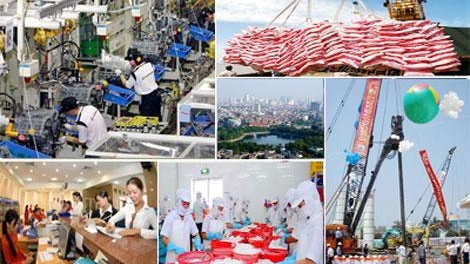Việt Nam cần làm gì để tận dụng thời cơ từ các Hiệp định thương mại tự do? (Kinh tế ngày 24/7/2015)