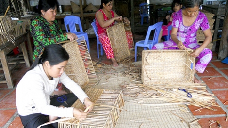 Hậu Giang tìm lời giải cho vấn đề Đào tạo nghề cho lao động nông thôn (Diễn đàn kinh tế ngày 26/7/2015)