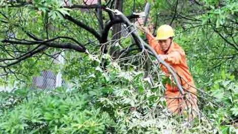 Hà Nội với công tác đảm bảo an toàn lưới điện mùa mưa bão (Kinh tế ngày 12/8/2015)