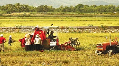 Doanh nghiệp với chuyển giao tiến bộ kỹ thuật trong nông nghiệp (Nông nghiệp và nông thôn ngày 14/8/2015)