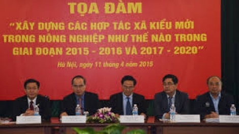 Èo uột hợp tác xã nông nghiệp. (Nông nghiệp và nông thôn ngày 15/8/2015)