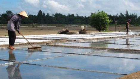 Hà Tĩnh – Khó khăn đầu ra cho muối.