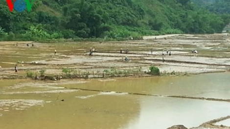 Khắc phục hậu quả mưa lũ trong sản xuất nông nghiệp (Nông nghiệp và nông thôn ngày 4/8/2015)