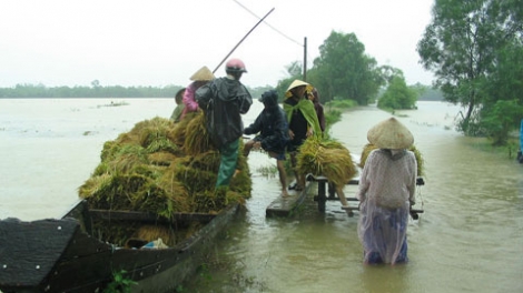 Chủ động cảnh giác trước những diễn biến bất thường của thiên tai