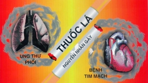 Phòng chống tác hại thuốc lá.