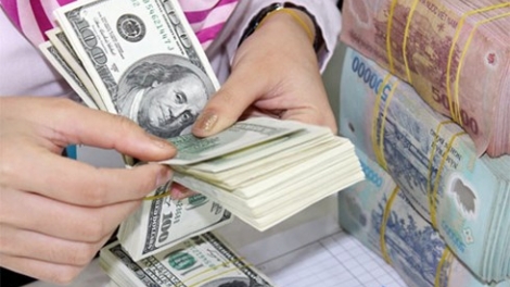 Cần có bảo hiểm rủi ro tỷ giá.