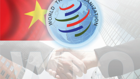 Làm rõ những yếu kém về thể chế sau 8 năm Việt Nam gia nhập Tổ chức Thương mại thế giới