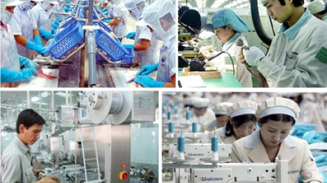 Năng suất chất lượng – hiệu quả trong phát triển