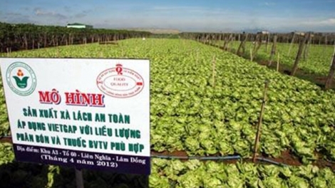 Để VietGAP là chứng chỉ của niềm tin (6/10/2016)