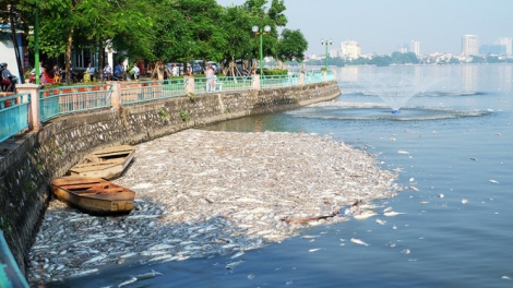 Môi trường Hà Nội sẽ ra sao khi “lá phổi” thành phố bị ô nhiễm? (04/10/2016)