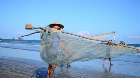 Bồi thường sự cố môi trường biển: Cần minh bạch, đúng đối tượng (13/10/2016)