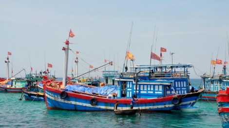 Ngư dân cần được trang bị những kỹ năng gì để vươn khơi an toàn (16/10/2016)