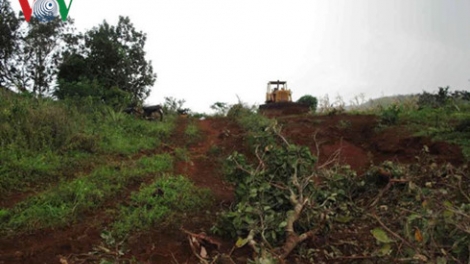 Vai trò của chính quyền địa phương trong việc hòa giải, xử lí tranh chấp ngay từ đầu để không xảy ra những hậu quả đáng tiếc. (26/10/2016)