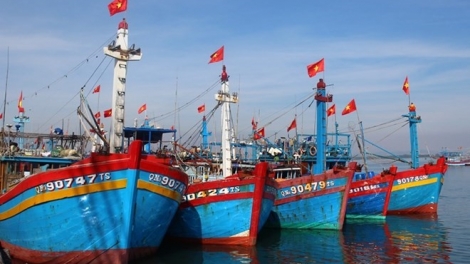 Nghị định 67: Tắc ở vốn vay (02/11/2016)