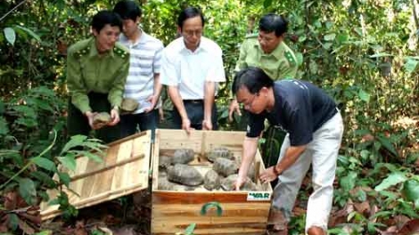 Huy động sự tham gia của người dân trong ngăn chặn buôn bán trái phép động thực vật hoang dã: Kinh nghiệm từ những mô hình tốt (21/11/2016)