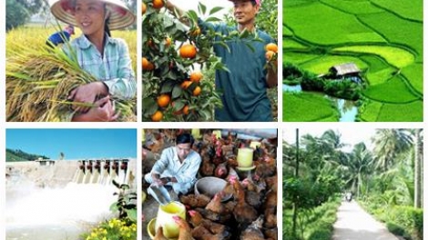Thu hút doanh nghiệp trong xây dựng nông thôn mới (08/11/2016)