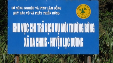 Nâng cao hiệu quả thực thi chính sách chi trả dịch vụ môi trường rừng (20/11/2016)