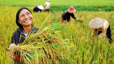 Học cách làm nông cho chuyên nghiệp (14/12/2016)