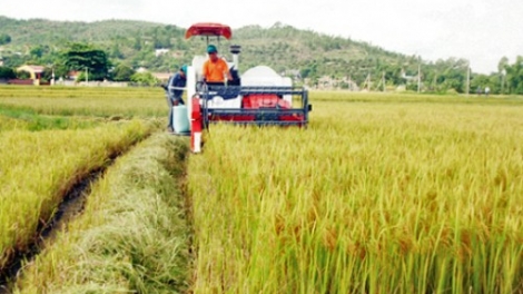Quảng Bình thay đổi phương thức sản xuất để tiếp cận với thị trường (20/12/2016)